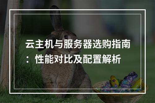 云主机与服务器选购指南：性能对比及配置解析