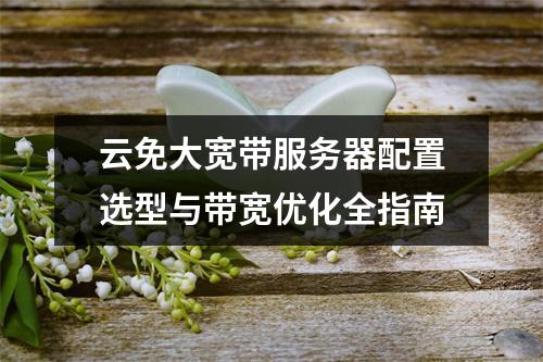 云免大宽带服务器配置选型与带宽优化全指南