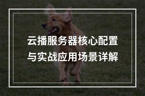 云播服务器核心配置与实战应用场景详解