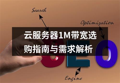 云服务器1M带宽选购指南与需求解析