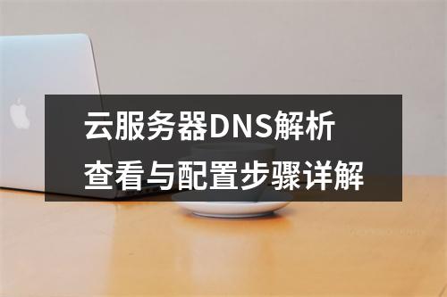 云服务器DNS解析查看与配置步骤详解