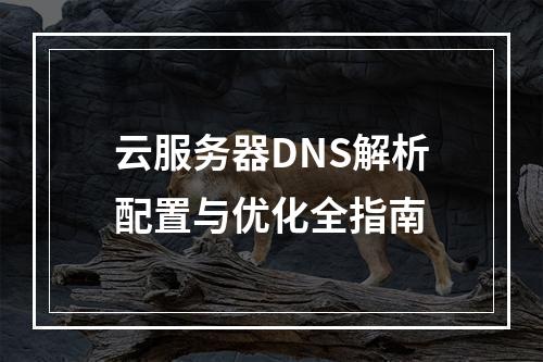 云服务器DNS解析配置与优化全指南
