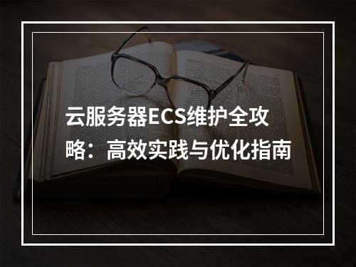云服务器ECS维护全攻略：高效实践与优化指南