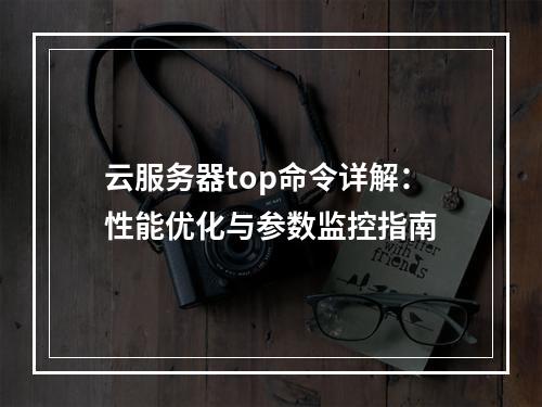 云服务器top命令详解：性能优化与参数监控指南