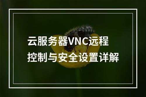云服务器VNC远程控制与安全设置详解