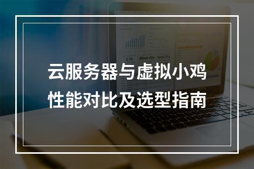 云服务器与虚拟小鸡性能对比及选型指南