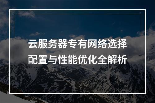 云服务器专有网络选择配置与性能优化全解析