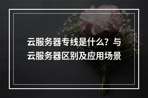云服务器专线是什么？与云服务器区别及应用场景