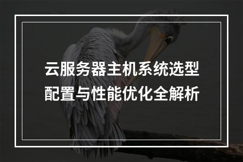 云服务器主机系统选型配置与性能优化全解析