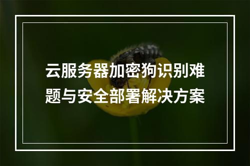 云服务器加密狗识别难题与安全部署解决方案