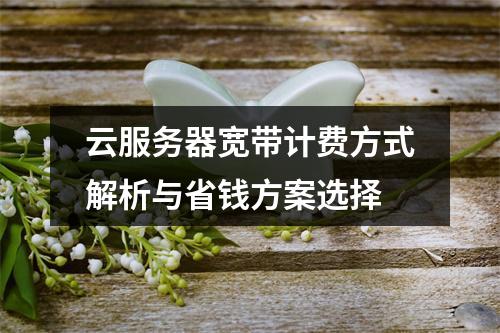 云服务器宽带计费方式解析与省钱方案选择