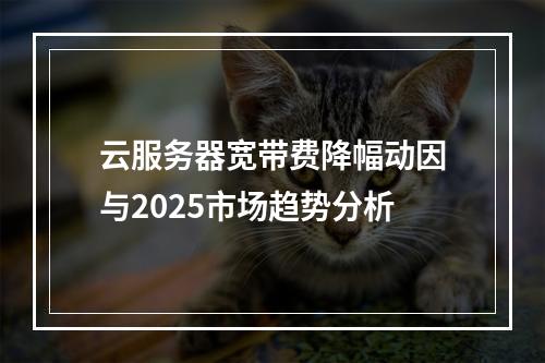 云服务器宽带费降幅动因与2025市场趋势分析
