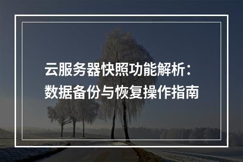 云服务器快照功能解析：数据备份与恢复操作指南