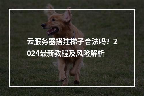 云服务器搭建梯子合法吗？2024最新教程及风险解析