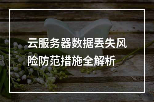 云服务器数据丢失风险防范措施全解析