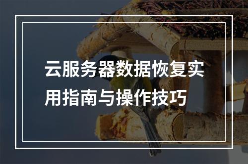 云服务器数据恢复实用指南与操作技巧
