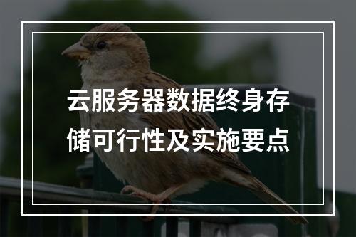 云服务器数据终身存储可行性及实施要点