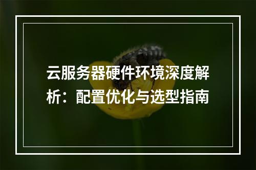 云服务器硬件环境深度解析：配置优化与选型指南