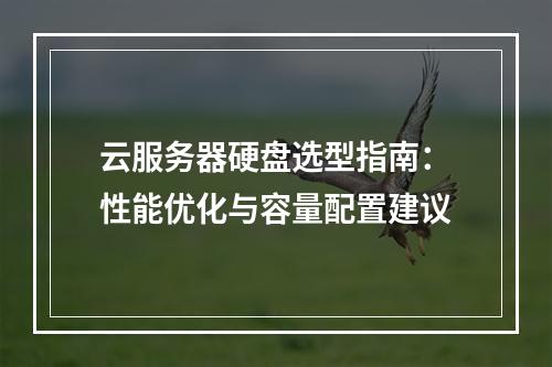 云服务器硬盘选型指南：性能优化与容量配置建议