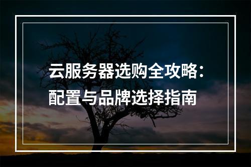 云服务器选购全攻略：配置与品牌选择指南