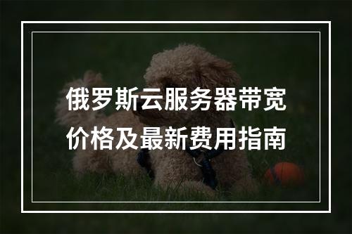 俄罗斯云服务器带宽价格及最新费用指南