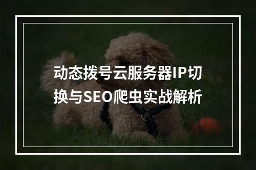 动态拨号云服务器IP切换与SEO爬虫实战解析