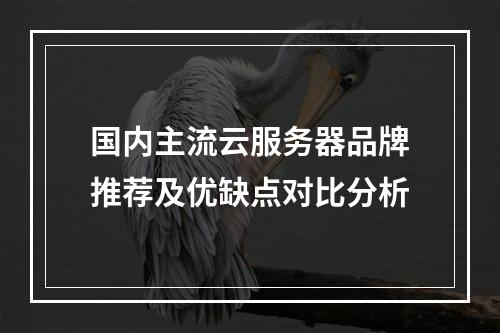 国内主流云服务器品牌推荐及优缺点对比分析