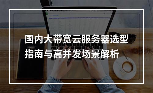 国内大带宽云服务器选型指南与高并发场景解析