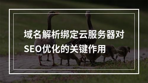 域名解析绑定云服务器对SEO优化的关键作用