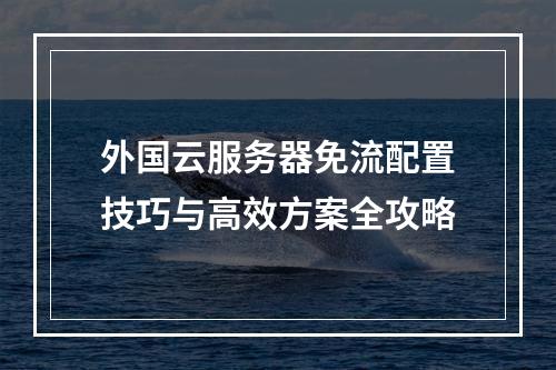外国云服务器免流配置技巧与高效方案全攻略