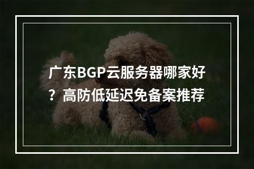 广东BGP云服务器哪家好？高防低延迟免备案推荐