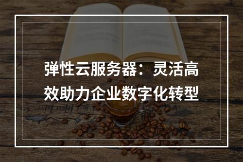 弹性云服务器：灵活高效助力企业数字化转型