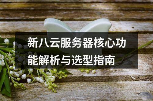 新八云服务器核心功能解析与选型指南