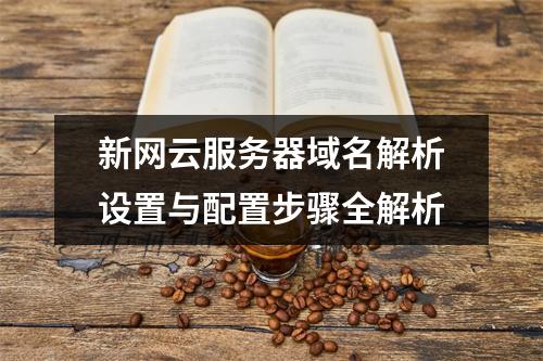 新网云服务器域名解析设置与配置步骤全解析