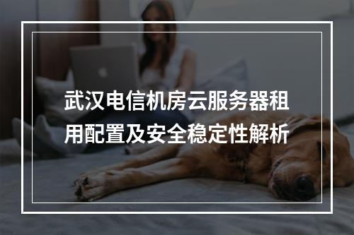 武汉电信机房云服务器租用配置及安全稳定性解析