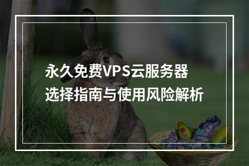 永久免费VPS云服务器选择指南与使用风险解析