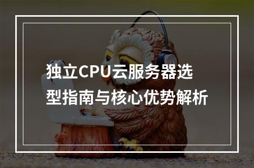 独立CPU云服务器选型指南与核心优势解析