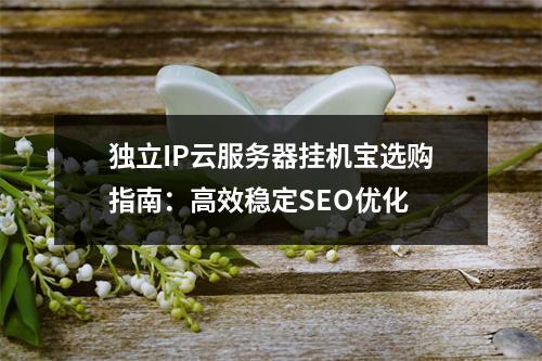 独立IP云服务器挂机宝选购指南：高效稳定SEO优化