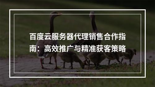 百度云服务器代理销售合作指南：高效推广与精准获客策略