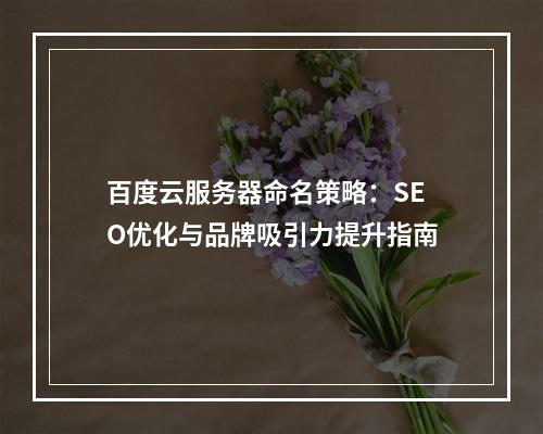 百度云服务器命名策略：SEO优化与品牌吸引力提升指南