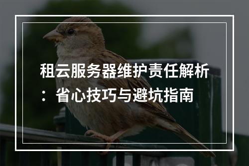 租云服务器维护责任解析：省心技巧与避坑指南