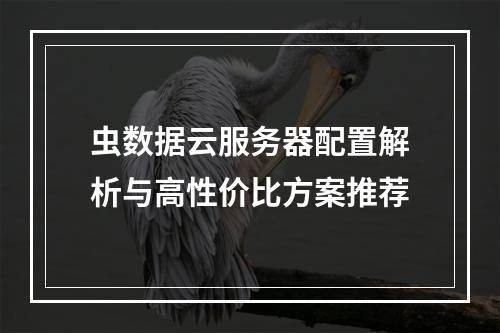 虫数据云服务器配置解析与高性价比方案推荐