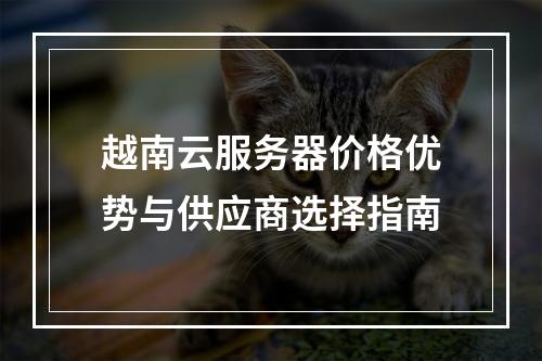 越南云服务器价格优势与供应商选择指南