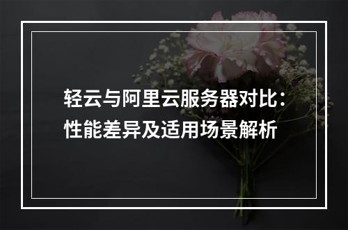 轻云与阿里云服务器对比：性能差异及适用场景解析