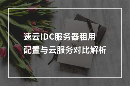 速云IDC服务器租用配置与云服务对比解析