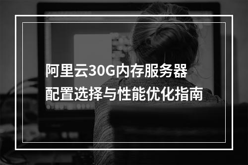 阿里云30G内存服务器配置选择与性能优化指南