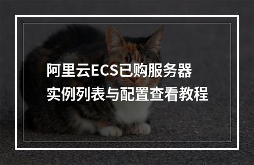 阿里云ECS已购服务器实例列表与配置查看教程