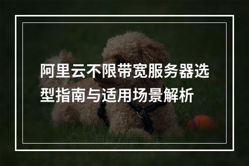 阿里云不限带宽服务器选型指南与适用场景解析
