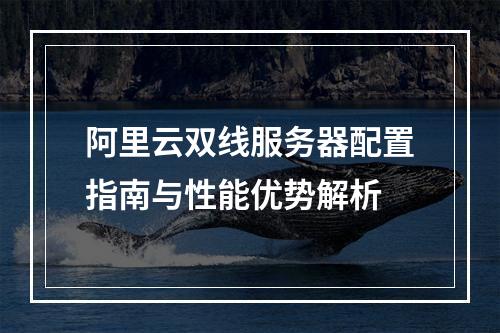 阿里云双线服务器配置指南与性能优势解析