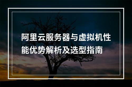 阿里云服务器与虚拟机性能优势解析及选型指南